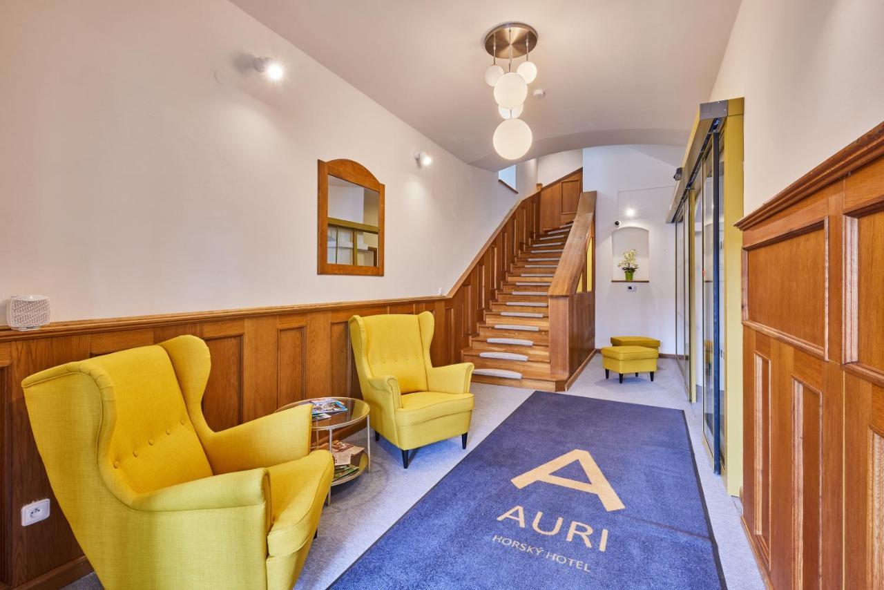 Готель Auri Rudnik